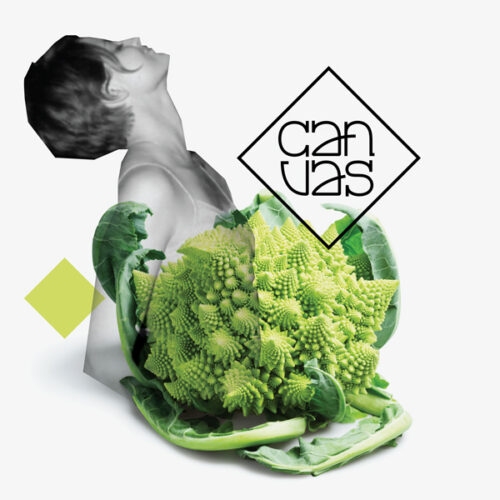 OG Website Project Thumbnail Canvas